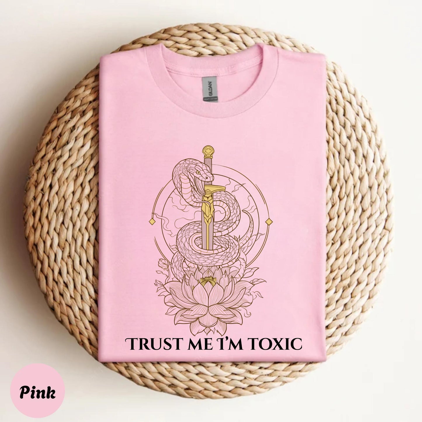 Trust Me I'm Toxic Snake Sword Shirt, Y2K Dark Academia Graphic Tee, Edgy Aesthetic Gift for Women and Teens AA15