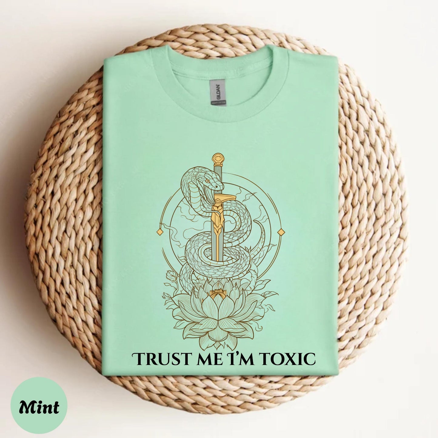 Trust Me I'm Toxic Snake Sword Shirt, Y2K Dark Academia Graphic Tee, Edgy Aesthetic Gift for Women and Teens AA15