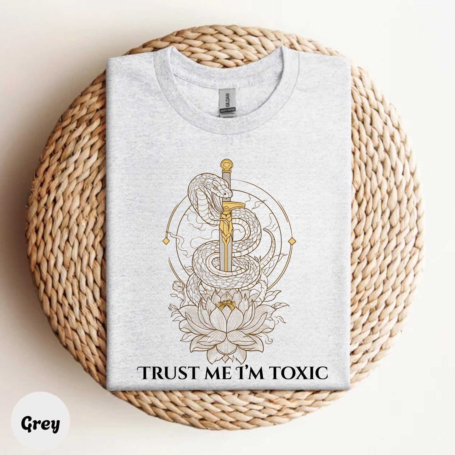 Trust Me I'm Toxic Snake Sword Shirt, Y2K Dark Academia Graphic Tee, Edgy Aesthetic Gift for Women and Teens AA15